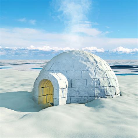 IGLOO